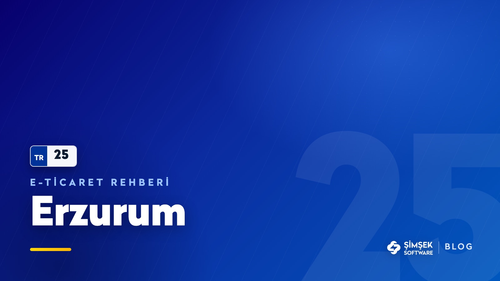 Erzurum'da e-ticaret: civil peynirinden Oltu taşına rehber