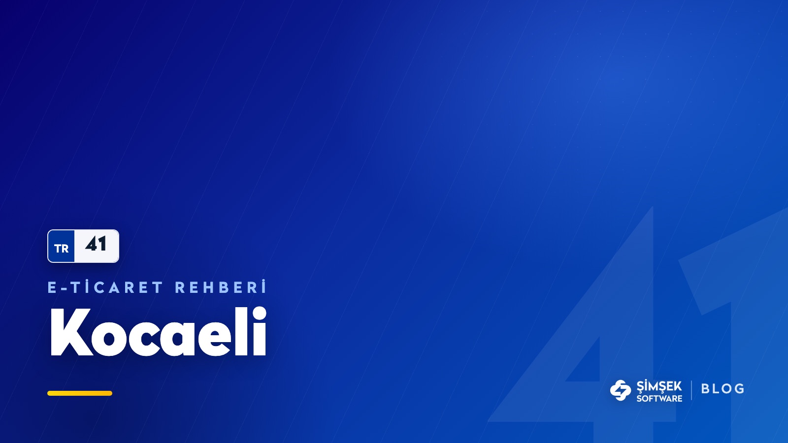 Kocaeli'de e-ticaret: sanayi şehrinde görünür olmak