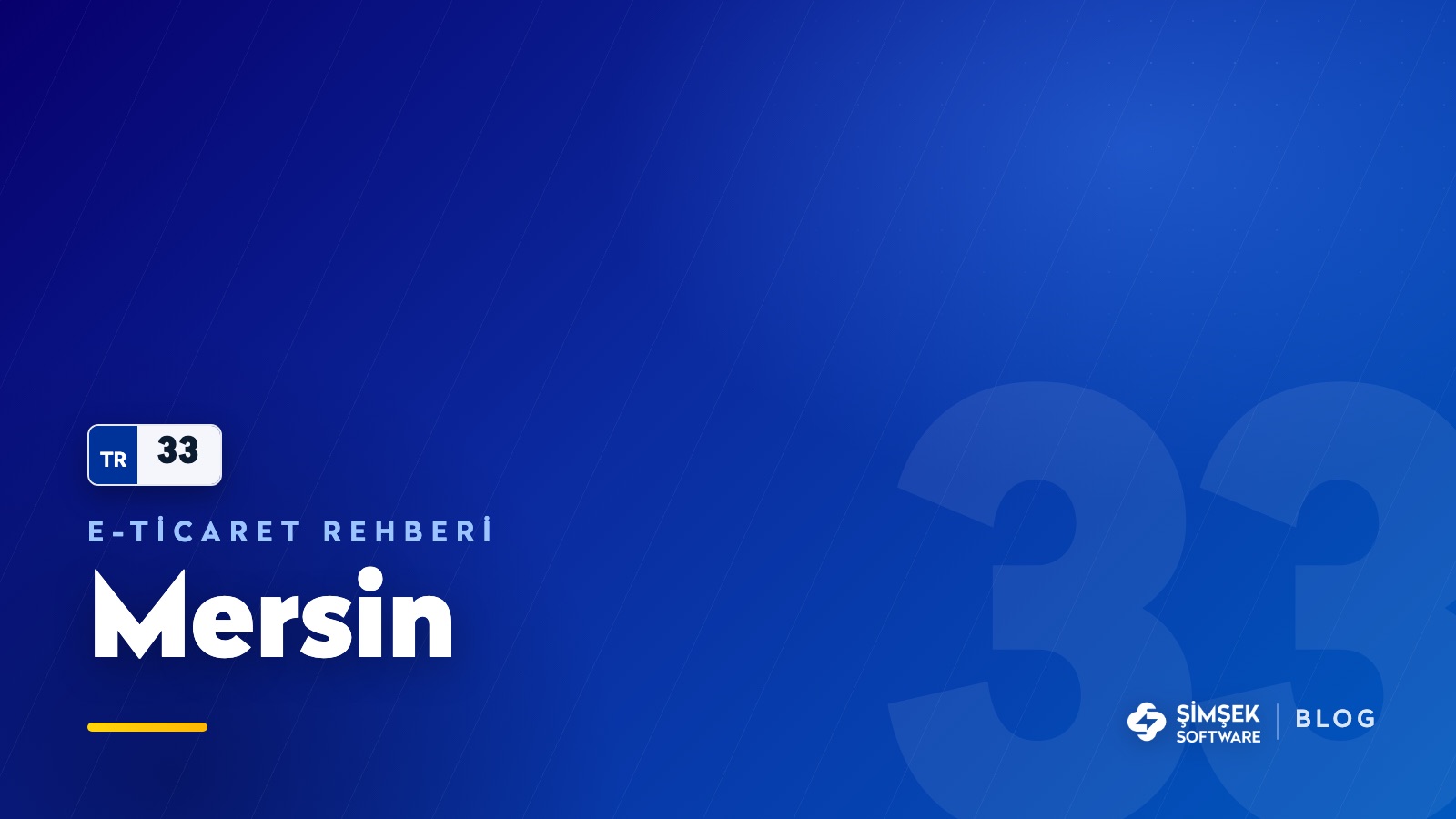 Mersin'de e-ticaret: narenciyeden cezeryeye ne satılır?