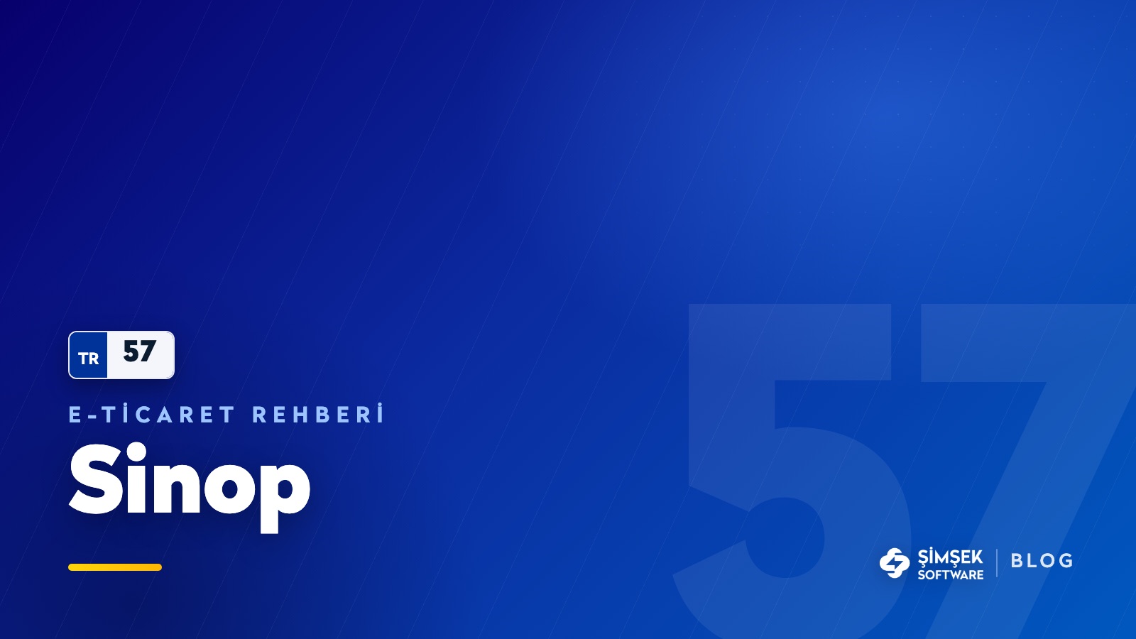 Sinop'ta e-ticaret: kuzeyin ucundan ne satılır?